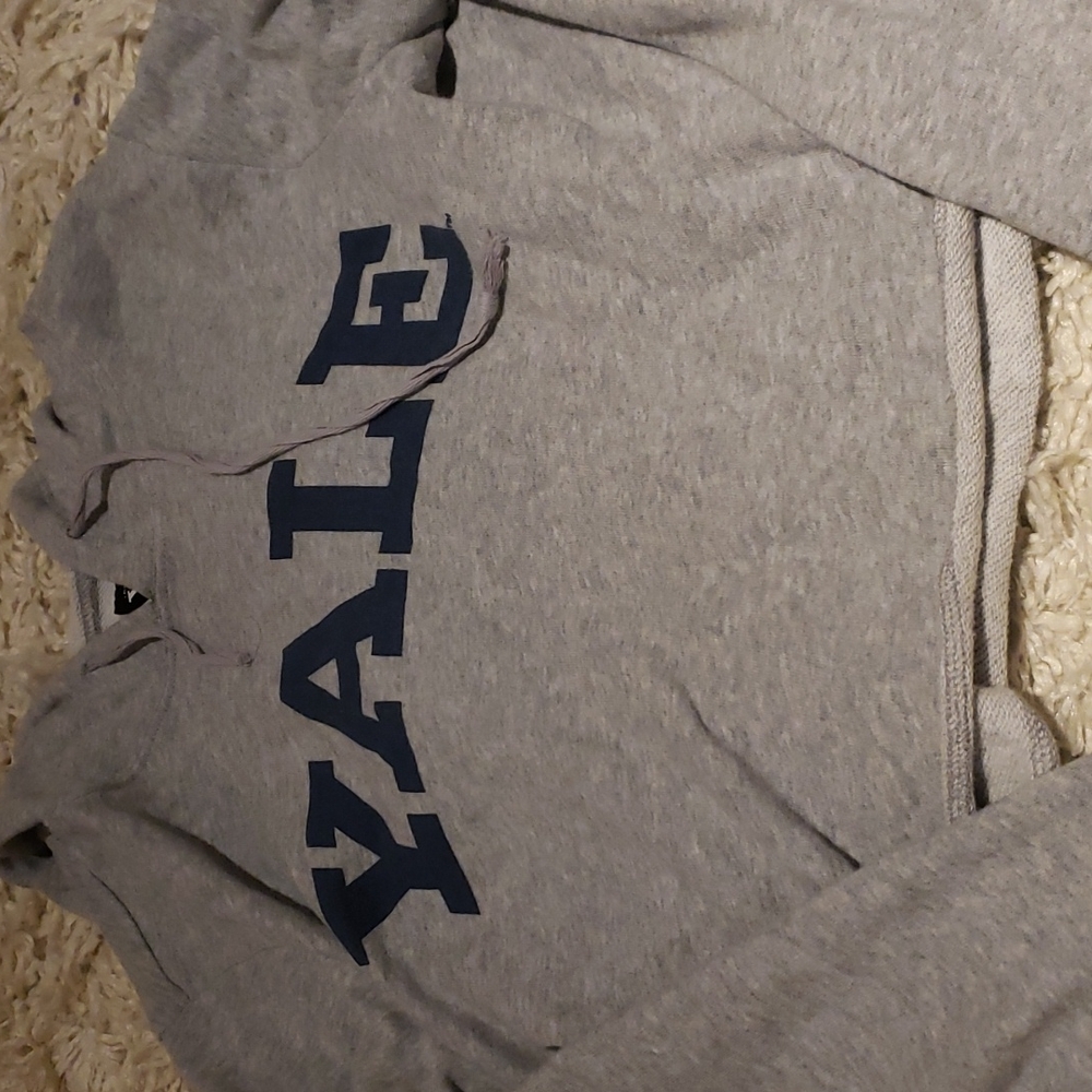 Women's Gray Crop Hoodie